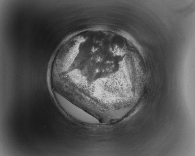 X0000087601429200705181229