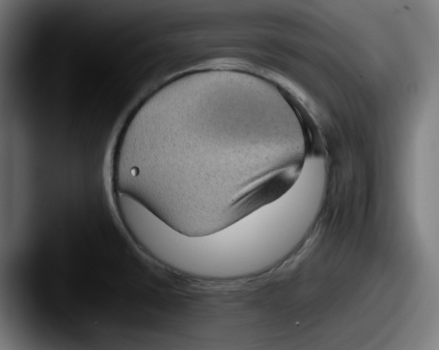 X0000087601430200705181229