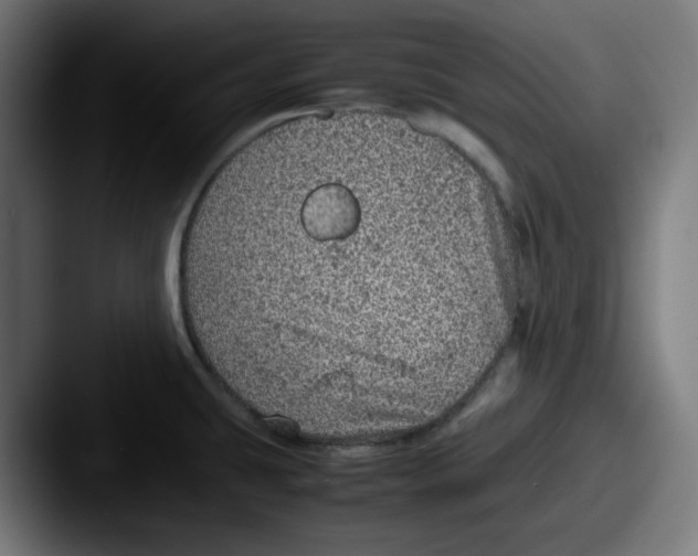 X0000087601431200705181229