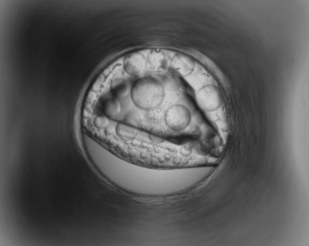 X0000087601432200705181229