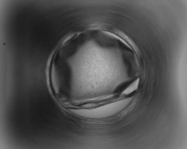 X0000087601434200705181229