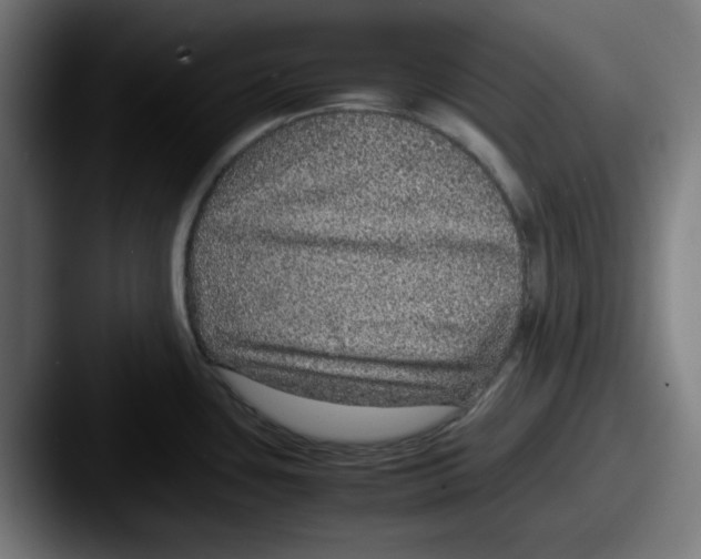 X0000087601435200705181229