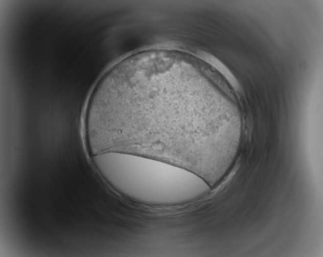 X0000087601436200705181229