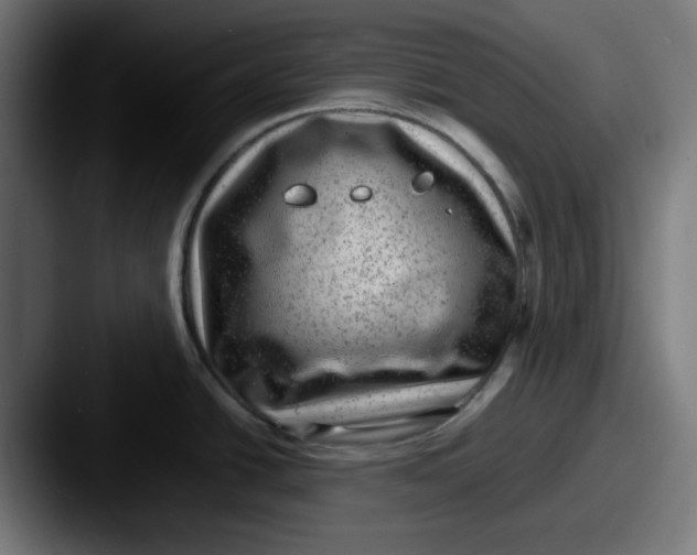 X0000087601438200705181229