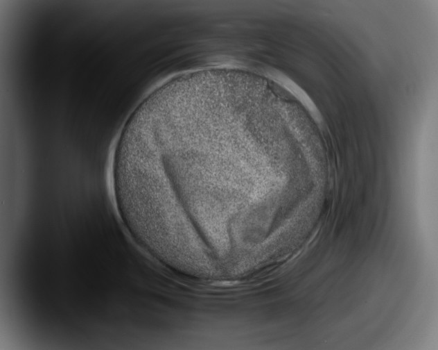 X0000087601439200705181229