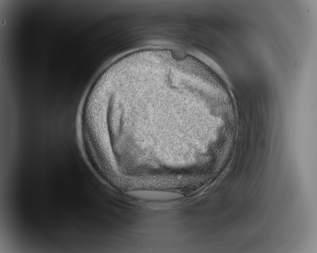 X0000087601440200705181229