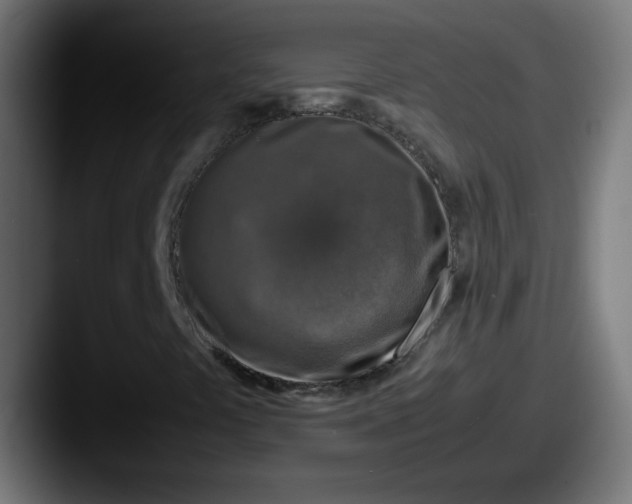 X0000087601441200705181229