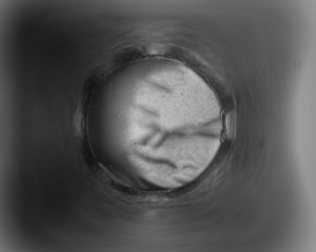 X0000087601443200705181229