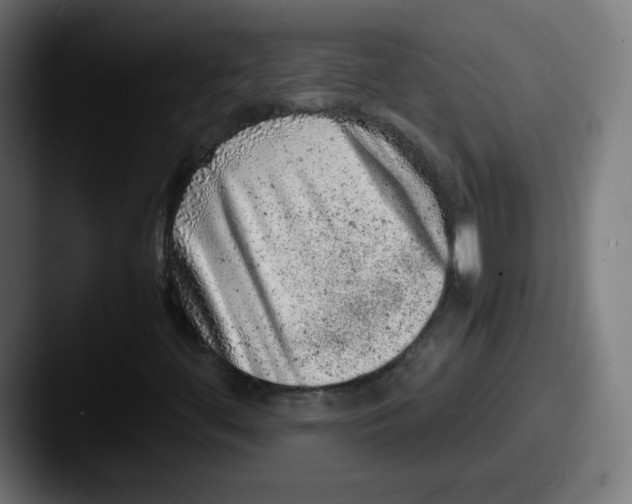 X0000087601444200705181229