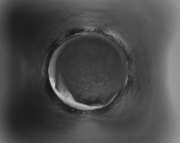 X0000087601445200705181229