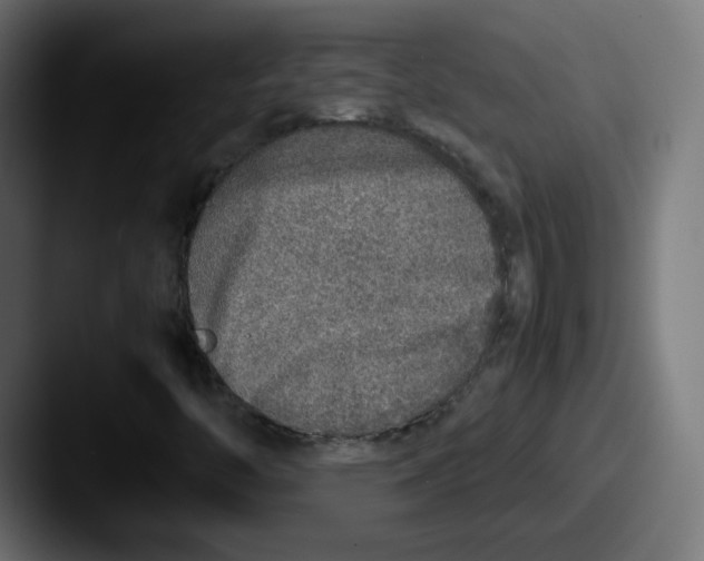 X0000087601446200705181229