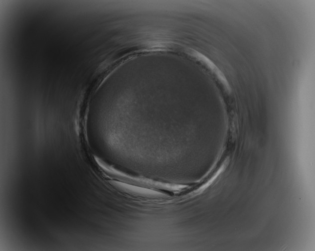 X0000087601449200705181229