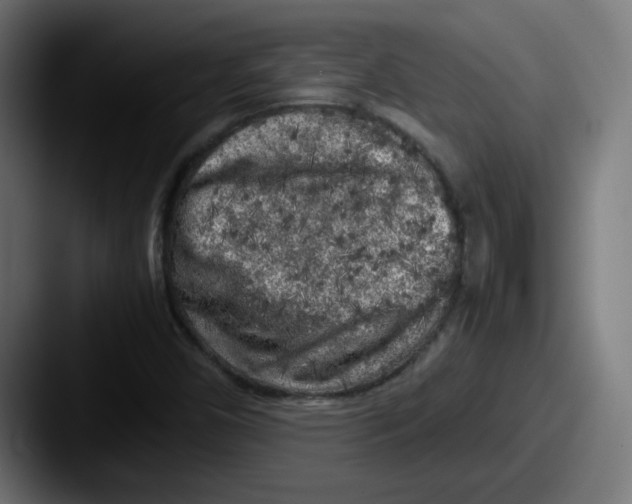X0000087601450200705181229