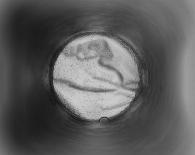 X0000087601452200705181229