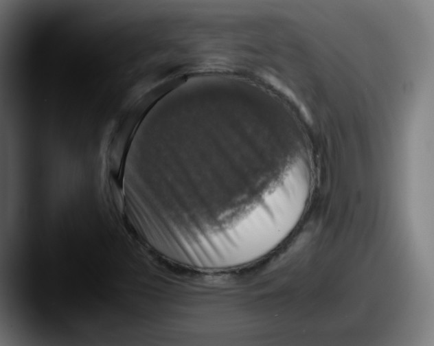 X0000087601453200705181228