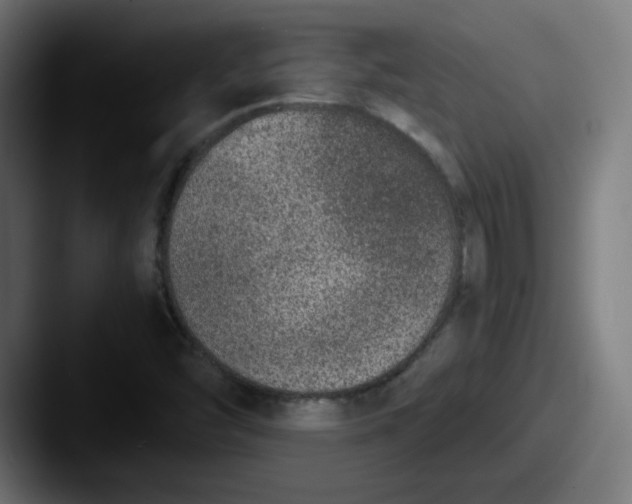 X0000087601454200705181228