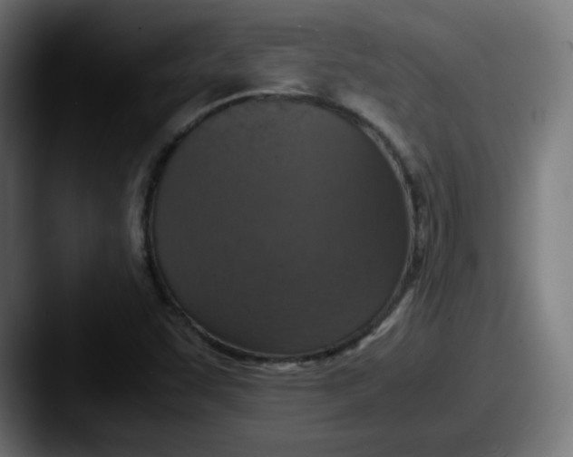 X0000087601455200705181228
