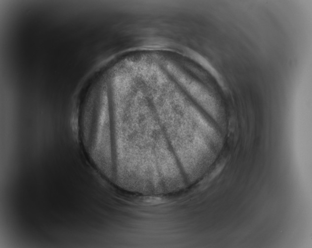 X0000087601456200705181228