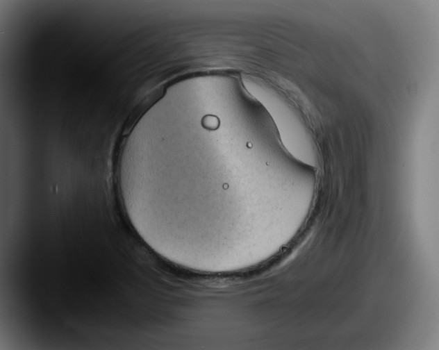 X0000087601457200705181228