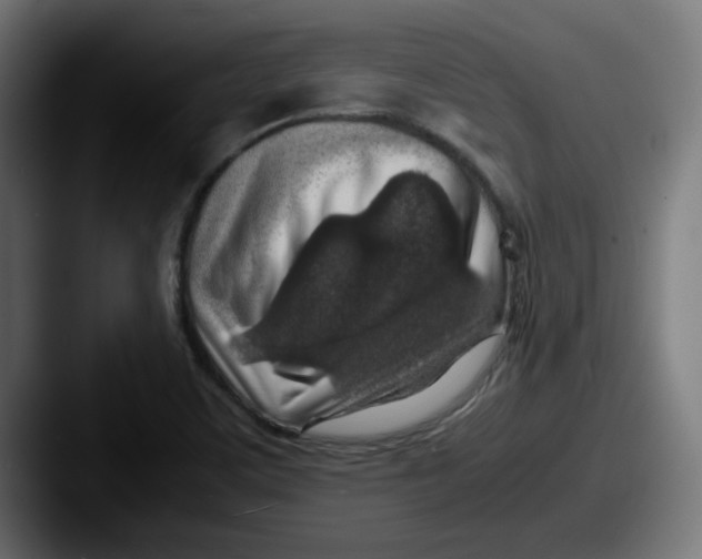 X0000087601459200705181228