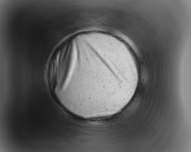X0000087601460200705181228