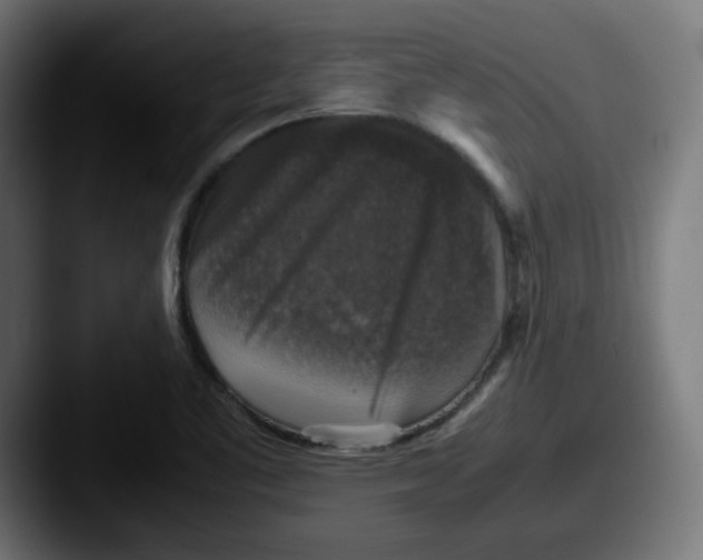 X0000087601461200705181228