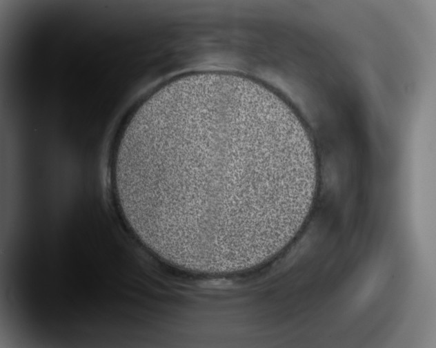 X0000087601462200705181228