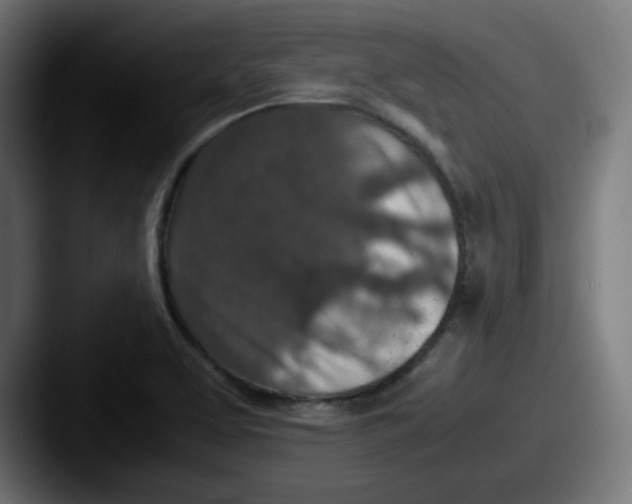 X0000087601463200705181228
