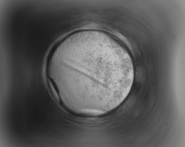 X0000087601464200705181228
