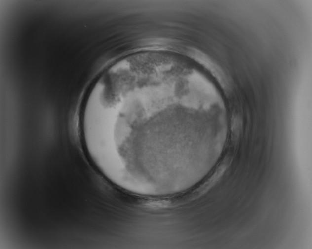 X0000087601466200705181228