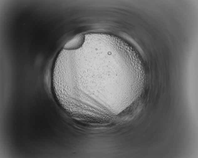 X0000087601467200705181228