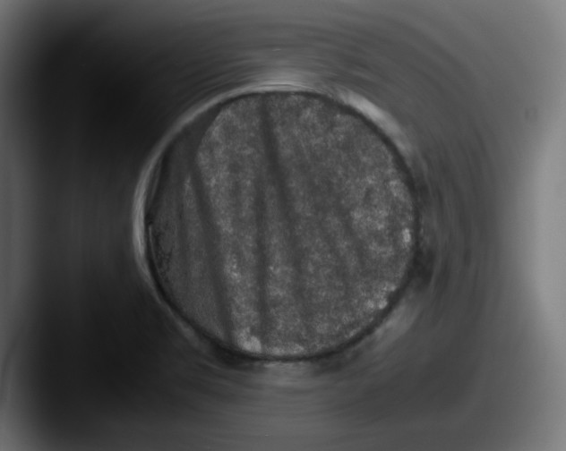X0000087601469200705181228