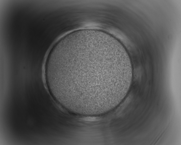 X0000087601470200705181228