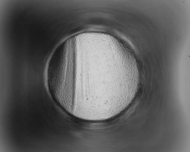 X0000087601471200705181228