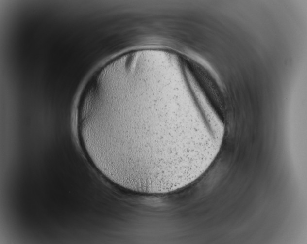 X0000087601472200705181228