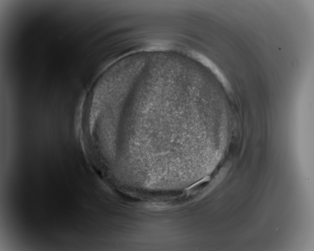 X0000087601473200705181228
