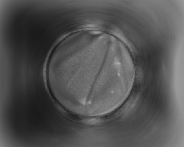 X0000087601474200705181228