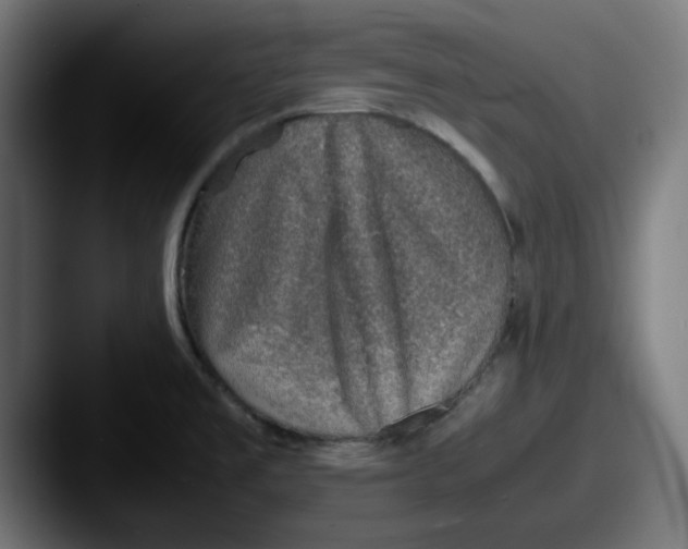 X0000087601477200705181228