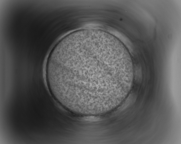 X0000087601478200705181228