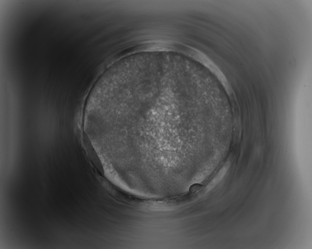 X0000087601481200705181228