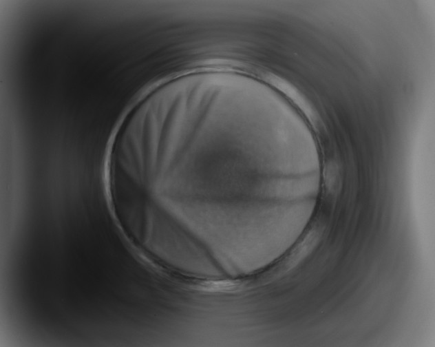 X0000087601482200705181228