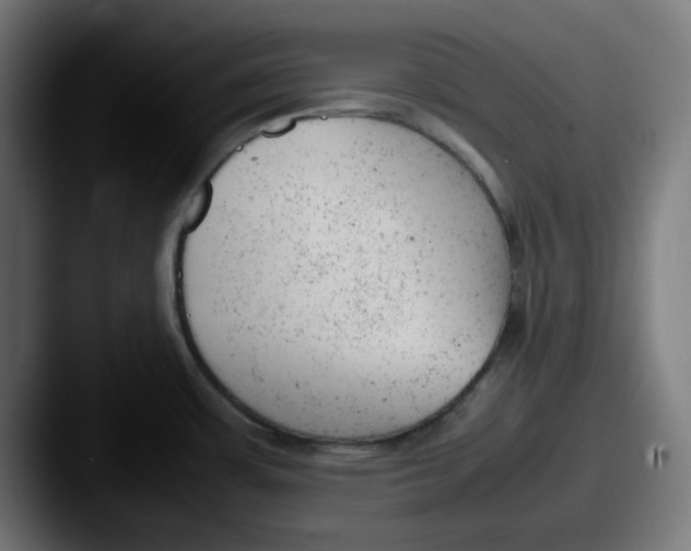 X0000087601483200705181228