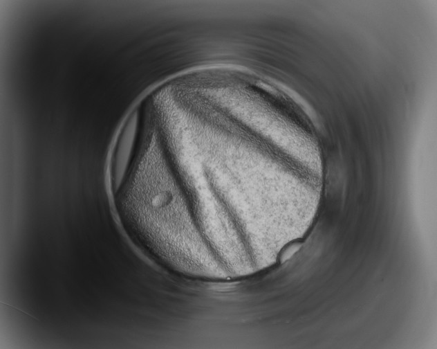X0000087601484200705181228