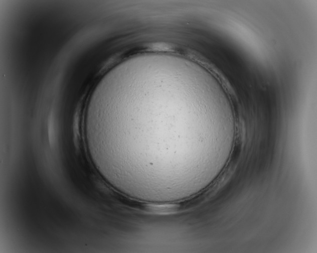 X0000087601487200705181228
