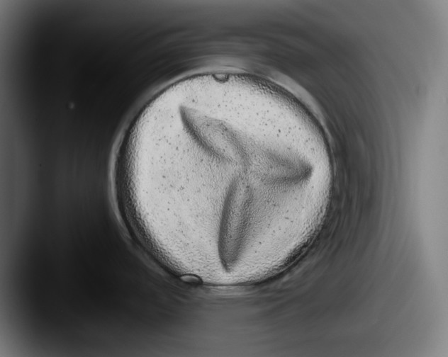 X0000087601488200705181228