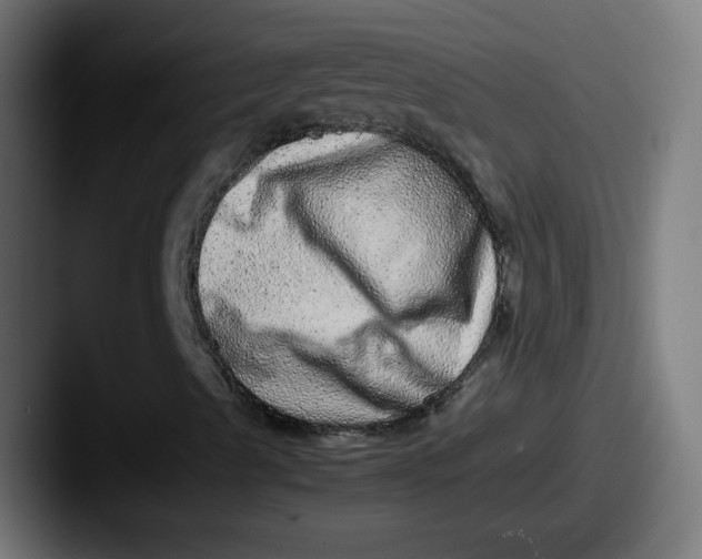 X0000087601489200705181228
