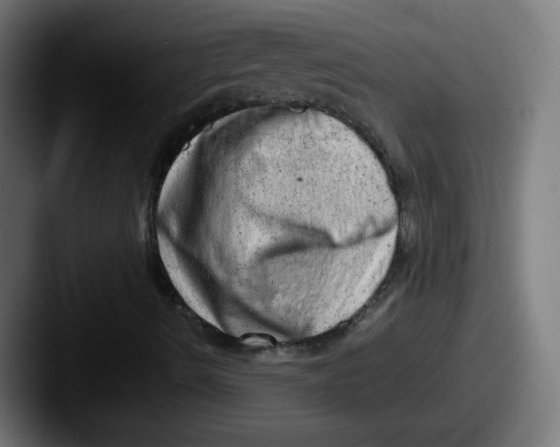 X0000087601490200705181228