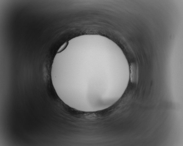 X0000087601491200705181228