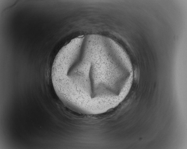 X0000087601492200705181228
