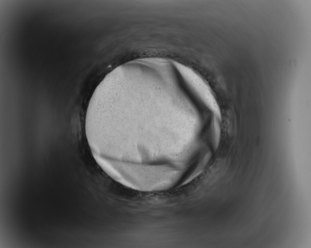X0000087601493200705181228